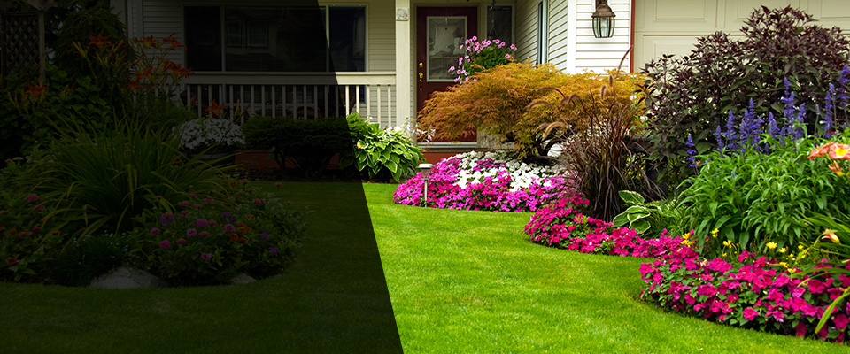 Mayodan Landscapers