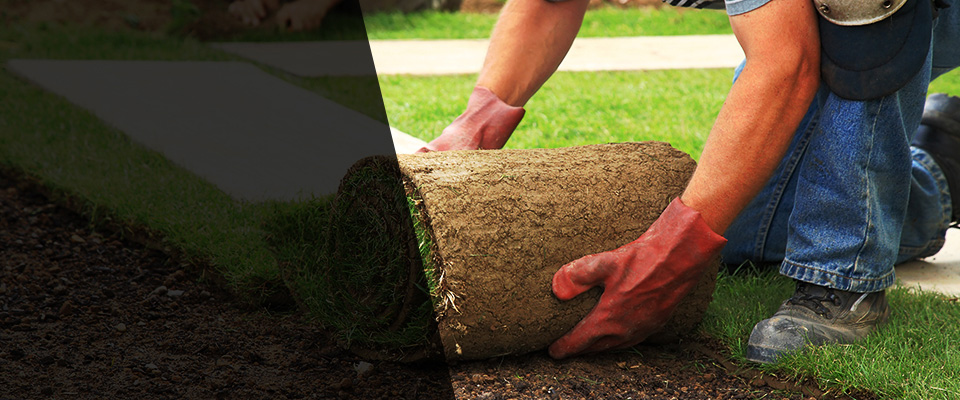 Mayodan Landscapers